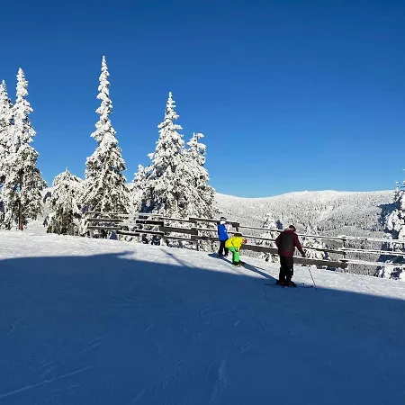 Monte Rosa Gasthof 3*
