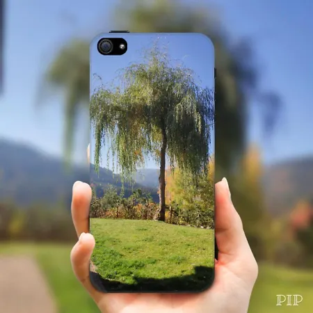 Monte Rosa 3* Špindlerŭv Mlýn